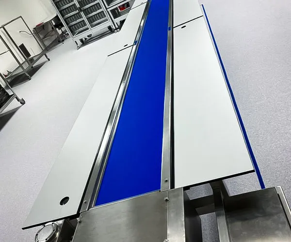 Conveyor system